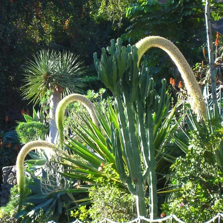 Fewo-atico-florasol-sehr-ruhig-direkt-am-naturschutzgebiet-mit-pool-2-terrassen-grill-parkplatz Appartement Santa Úrsula